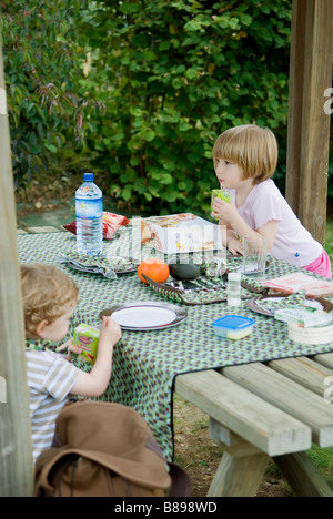 Fratello e Sorella e godere di un picnic Foto Stock