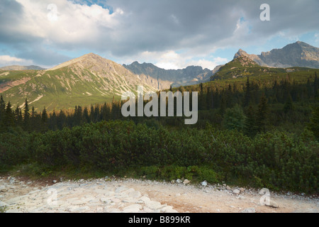 Alti Tatra, Gasienicowa Valley, Polonia Foto Stock