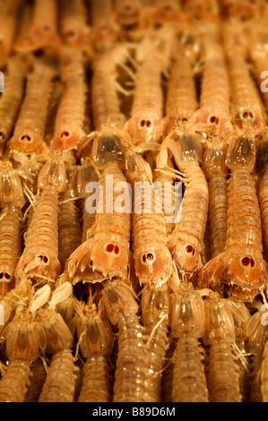 Connoce Freschi Scampi - Venezia Rialto Mercato del Pesce Foto Stock