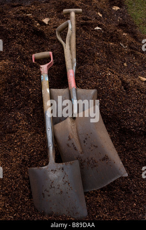 250 anniversario di Kew Gardens.All'interno della Principessa di Galles Conservatorio che presentano piante tropicali ed orchidee Foto Stock