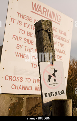 I segni che indicano "no cani sulla spiaggia' e un messaggio di avviso sui rischi di marea Foto Stock