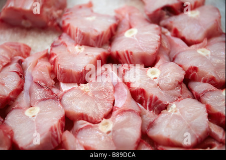 Squalo fresco - Venezia Rialto Mercato del Pesce Foto Stock