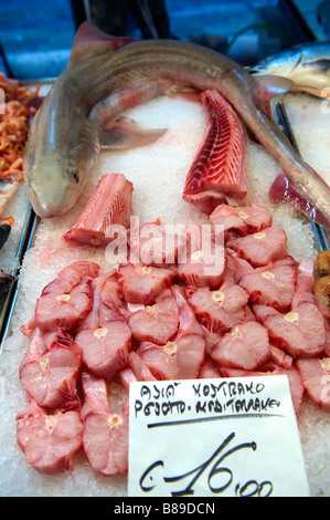 Squalo fresco - Venezia Rialto Mercato del Pesce Foto Stock