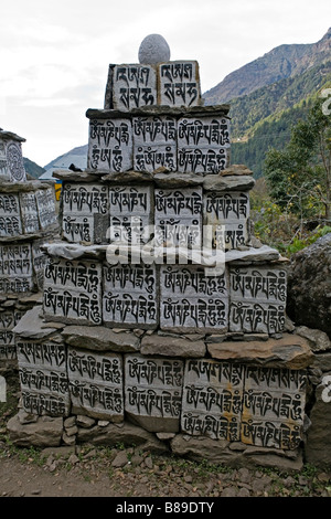 Una fede viva mantra o sacra sillabe inciso in pietre sul ciglio della strada a Lukla villaggio nella regione Solokhumbu Nepal Foto Stock