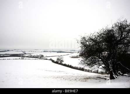 La neve sulla Lincolnshire Wolds, vicino a Donington il Bain, Lincolnshire, Regno Unito. Foto Stock