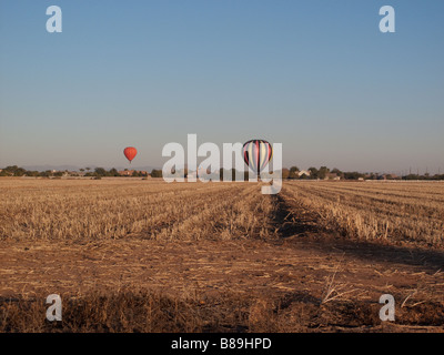 I palloni ad aria calda sbarco all'aperto in un campo di mais Foto Stock