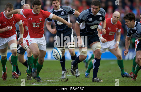 Pic mostra Scozia vs Galles alla RBS Sei Nazioni 2009 Murrayfield Stadium Edimburgo 8 Febbraio 2009 Foto Stock