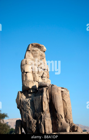 Un Colosso di Memnon Luxor Foto Stock