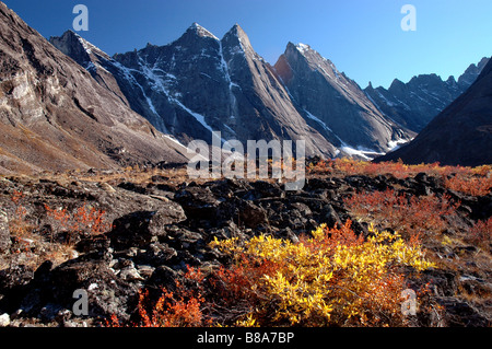 Picchi Arrigetch Brooks Range cancelli dell'Artico Parco Nazionale di Alaska Foto Stock