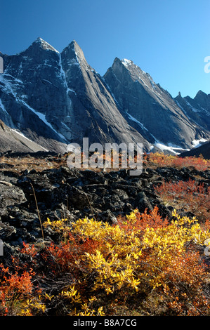 Picchi Arrigetch Brooks Range cancelli dell'Artico parco nazionale di Alaska Foto Stock