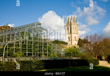 Serra entro la Oxford Giardino Botanico con Magdalen Tower, Inghilterra, Regno Unito. Foto Stock