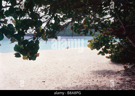 Donna relax su una spiaggia caraibica Flamenco Beach Culebra Island Puerto Rico Foto Stock