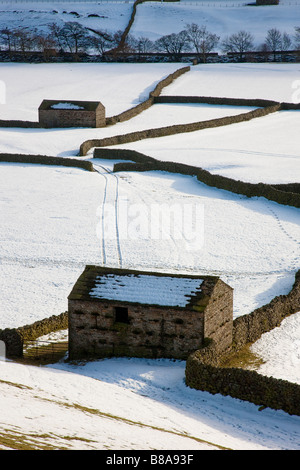 Fondelli Gunnerside Swaledale in inverno Yorkshire Dales National Park Foto Stock