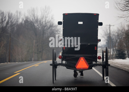 Cavallo carrello trainato buggy sulla strada rurale in Pennsylvania centrale Foto Stock