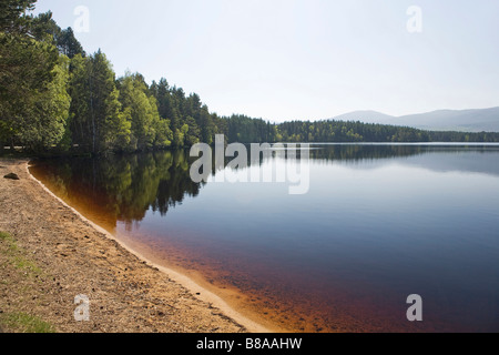 Loch Garten, Abernethy, Strathspey, Highlands scozzesi, Gran Bretagna Foto Stock