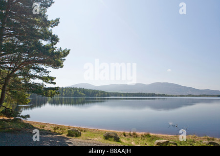 Loch Garten, Abernethy, Strathspey, Highlands scozzesi, Gran Bretagna Foto Stock