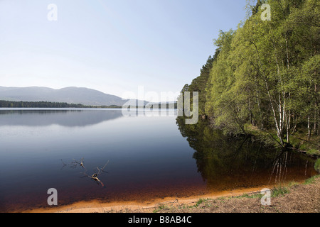 Loch Mallachie, Abernethy, Strathspey, Highlands scozzesi, Gran Bretagna Foto Stock