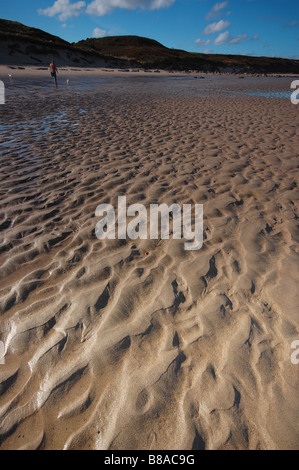 L'uomo cammina i suoi due cani su una spiaggia deserta del Northumberland su un giorno d'estate Foto Stock