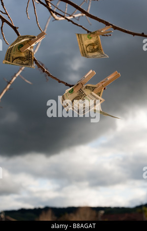 Soldi appesi ai rami di un albero con un meditabondo cielo e paesaggio vuoto dietro Foto Stock