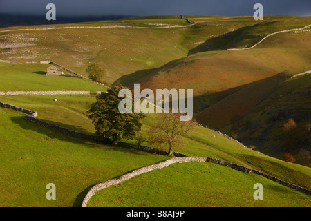 I muri di pietra e fienili nr Kettlewell, Wharfedale, Yorkshire Dales National Park, England, Regno Unito Foto Stock