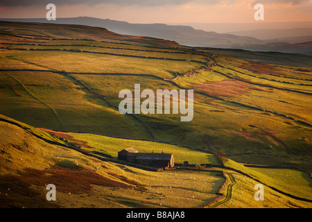 Luce della sera sui muri in pietra e le aziende agricole di Wharfedale, nr Kettlewell, Yorkshire Dales National Park, England, Regno Unito Foto Stock