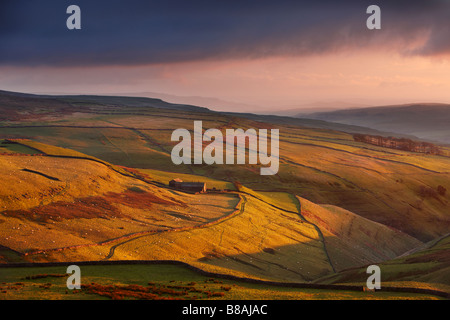 Luce della sera sui muri in pietra e le aziende agricole di Wharfedale, nr Kettlewell, Yorkshire Dales National Park, England, Regno Unito Foto Stock