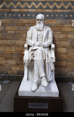 Una statua in marmo della grande naturalista Charles Darwin al Museo di Storia Naturale di Londra Foto Stock