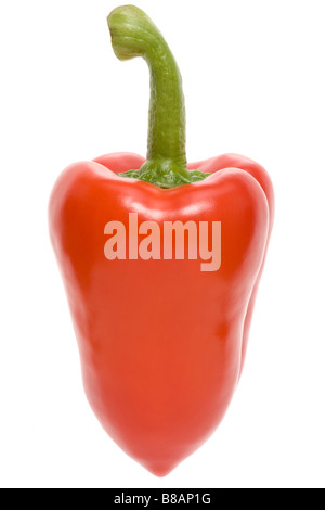 Vista laterale del peperone rosso fresco con gambo verde Foto Stock