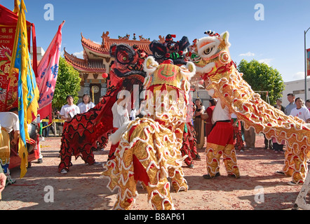 Cinese ballerini Lion durante una celebrazione. Foto Stock