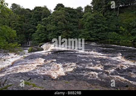 Aysgarth cadere dopo una pioggia pesante in piena alluvione Foto Stock