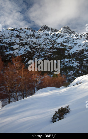 Paesaggio invernale con la montagna illuminata da Alba sullo sfondo e gli alberi con fogliame di autunno,Estrela parco naturale, Portogallo Foto Stock