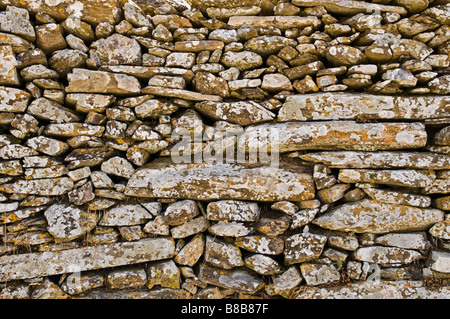 Un antico in pietra a secco parete ricoperta da licheni a Vathia nel profondo Mani sud del Peloponneso Grecia Foto Stock