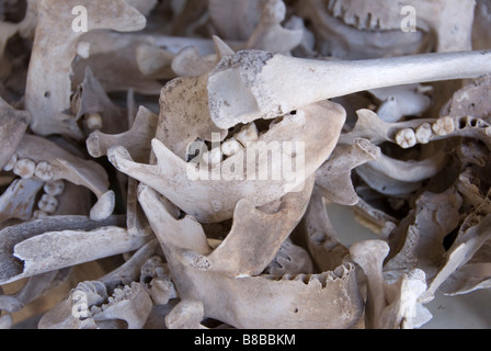 Le vittime di Pol Pot e il regime maoista, Choeung Ek Killing Fields Cambogia Foto Stock