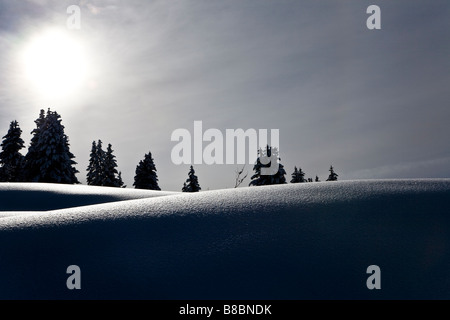 Sun andando verso il basso su una pista da sci in Les Saises Alpi francesi Foto Stock