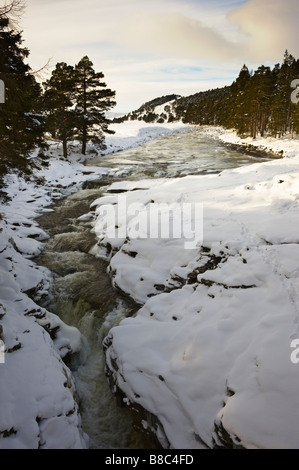 Il fiume Dee dal Linn di Dee in inverno vicino a Braemar, Deeside, Aberdeenshire, Scotland, Regno Unito. Foto Stock