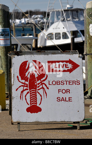 Segno pubblicità aragoste in vendita sul dock in Galilea Rhode Island Foto Stock