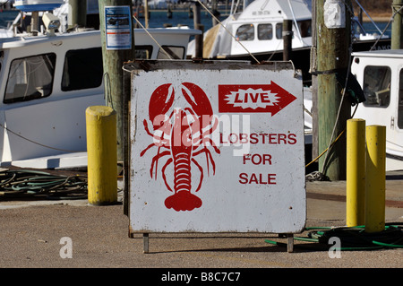 Segno pubblicità aragoste in vendita su dock Gallilee in Rhode Island Foto Stock
