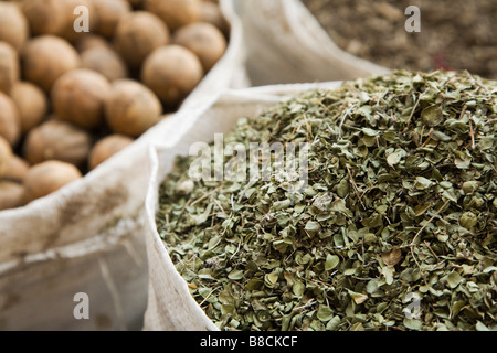 I UAE Dubai, molti tipi diversi di spezie sono in vendita presso le Spice Souk di Deira Foto Stock