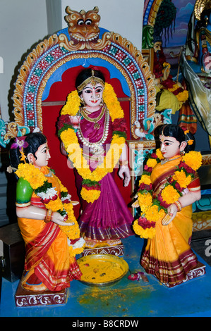 Tempio Hindu Sri Mariamman Chinatown di Singapore Foto Stock