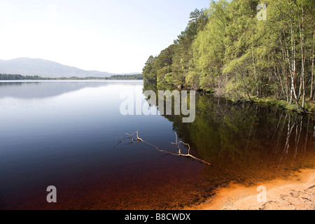 Loch Mallachie, Abernethy, Strathspey, Highlands scozzesi, Gran Bretagna Foto Stock