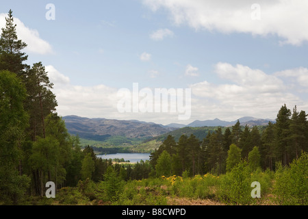 Vista da Contin Rock, cercando sul Loch Achilty, Torrachilty foresta, Contin, Ross-shire, Scozia, Gran Bretagna. Foto Stock