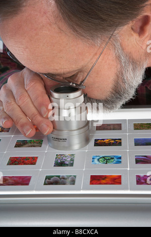 Visione di diapositive su di un tavolo luminoso Foto Stock