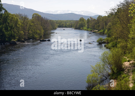 Vista del fiume Spey, verso Cairngorms National Park, dal vecchio ponte di Spey, Grantown-on-Spey, Highlands scozzesi, REGNO UNITO Foto Stock