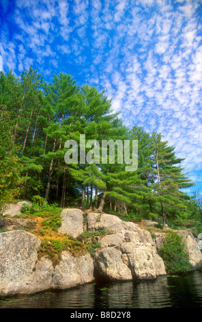 Lago silenzioso, Silent Lake Provincial Park, Bancroft,Ontario Foto Stock