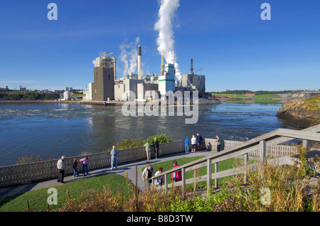 Irving Mulino fiume Saint John, Fallsview Park, San Giovanni, New Brunswick Foto Stock