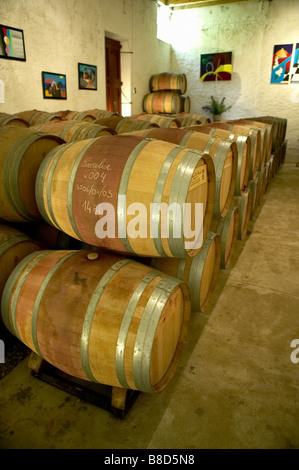 Botti da vino, Nissan-Les-Enserunes, Francia Foto Stock