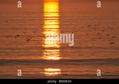 I riflessi del sole che tramonta sulla superficie liscia dell'Oceano Pacifico nella baia di Santa Monica Foto Stock