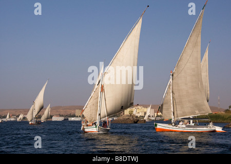 Feluche sul Fiume Nilo ad Aswan, Egitto Foto Stock