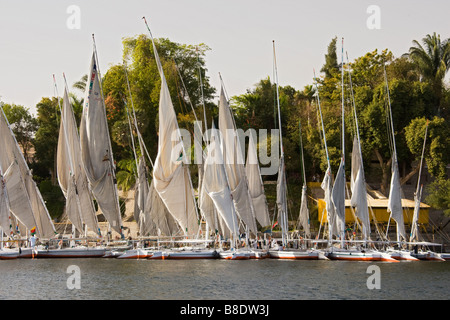 Yacht ormeggiati a riverside sul fiume Nilo in Egitto. Foto Stock