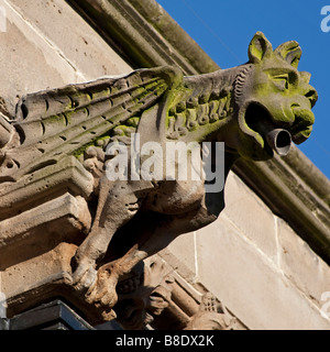 Gargoyle sul lato di St Martin's Church Birmingham City Centre Foto Stock